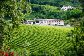 Гостиница Ca' Piadera Wine Relais  Тарцо